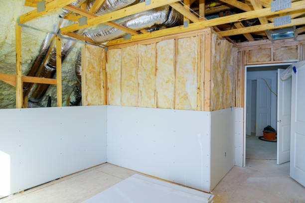 Best Radiant Barrier Insulation  in Bayou Cane, LA