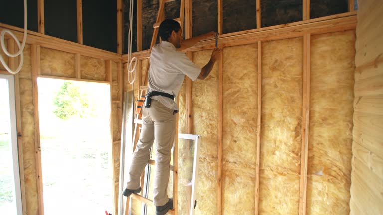 Best Eco-Friendly or Green Insulation Solutions  in Bayou Cane, LA