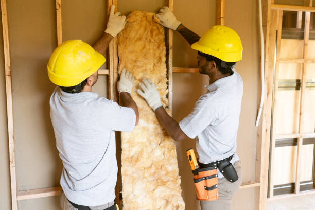 Best Commercial Insulation Services  in Bayou Cane, LA